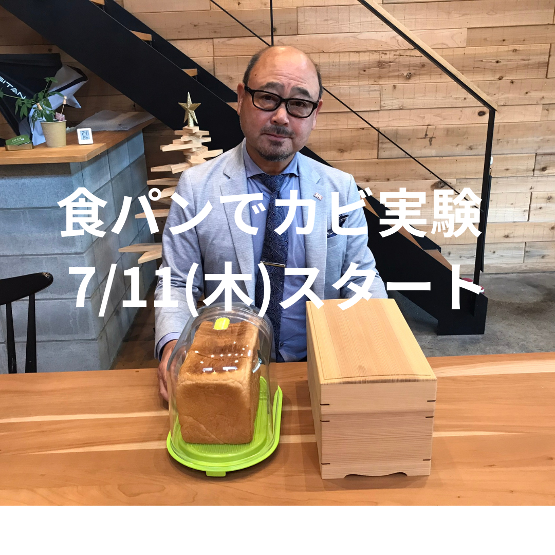 食パンでカビ実験（プラスティック容器VS低温乾燥材e-BIO）